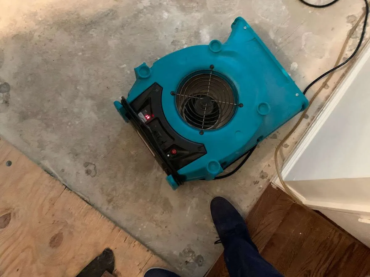 Air mover drying subfloor during Commercial Water Damage Restoration in Mead